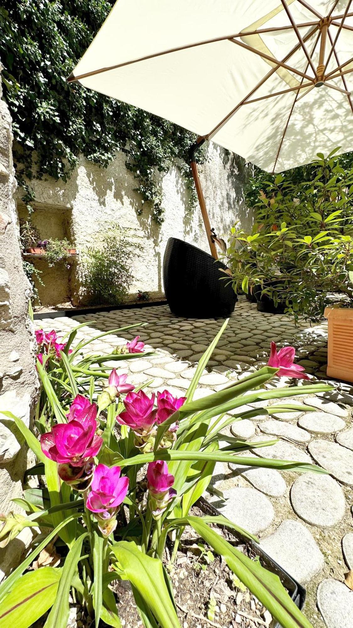Borgo Dei Sogni Apartment San Felice del Benaco Ngoại thất bức ảnh